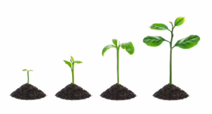 Personal growth in a distributed workplace