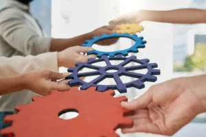 Project Execution Support