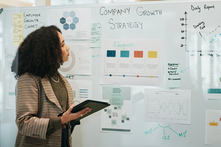 Company Growth Strategy