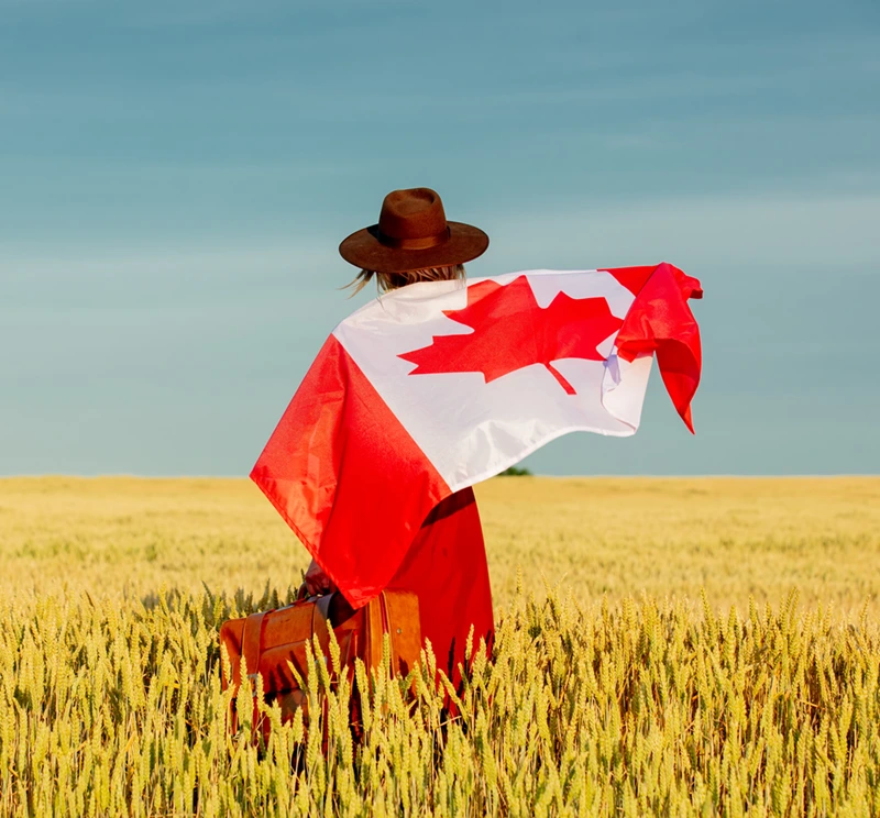 Person standing in a golden wheat field with a brown hat, wrapped in a Canadian flag that flutters in the wind, carrying a brown bag at the side.