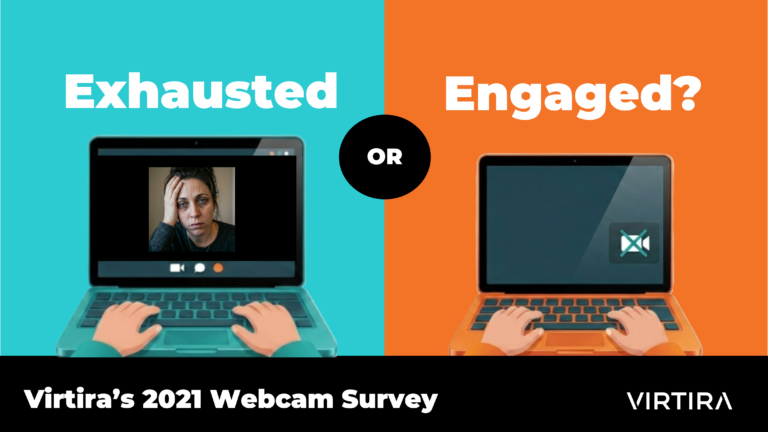 The Webcam Survey