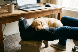 When flexibility actually matter Golden retriever puppy sleeping on a black boot under a wooden desk, with a laptop and mug on the desk nearby.